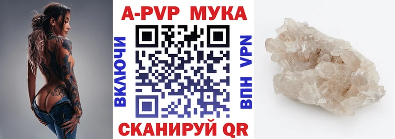 Альфа ПВП СК КРИС  Старица 