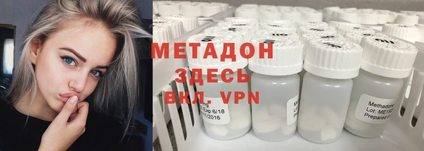 ГАЛЛЮЦИНОГЕННЫЕ ГРИБЫ Богданович