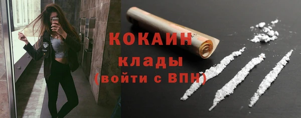 крисы Богородск