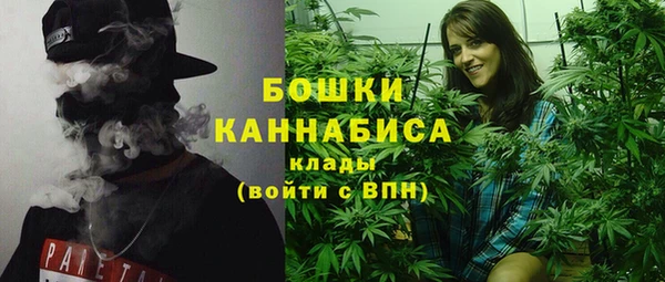 ГАЛЛЮЦИНОГЕННЫЕ ГРИБЫ Богданович