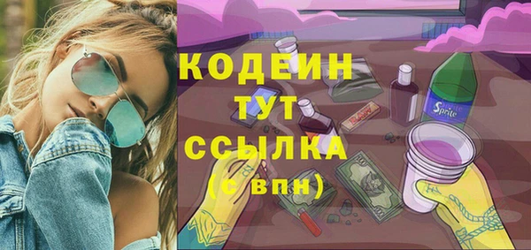 ГАЛЛЮЦИНОГЕННЫЕ ГРИБЫ Богданович