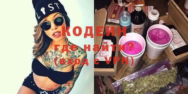 ГАЛЛЮЦИНОГЕННЫЕ ГРИБЫ Богданович