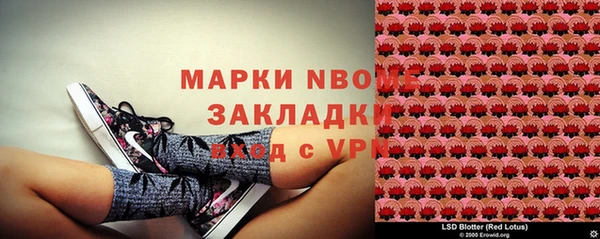 ГАЛЛЮЦИНОГЕННЫЕ ГРИБЫ Богданович
