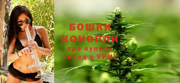 ГАЛЛЮЦИНОГЕННЫЕ ГРИБЫ Богданович