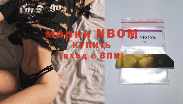 ГАЛЛЮЦИНОГЕННЫЕ ГРИБЫ Богданович