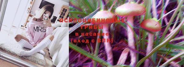 крисы Богородск