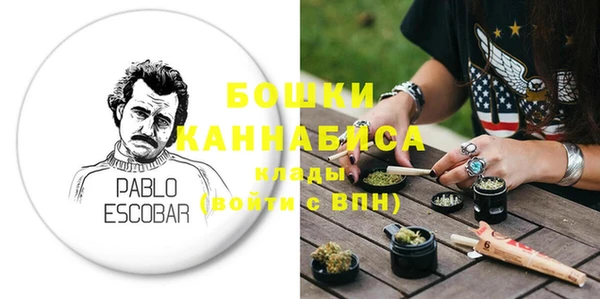 ГАЛЛЮЦИНОГЕННЫЕ ГРИБЫ Богданович